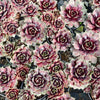 Sempervivum 'VJ10'