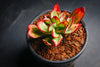 Echeveria 'Seiten-no-Tsukasa' (has mark)