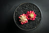 Sedum rubrotinctum 'Aurora'-(PLANT)(Pink Jelly Beans)