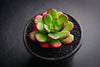 Echeveria 'Skinneri' (1 X CUTTING)
