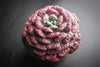 Echeveria pagoda