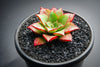 Echeveria longissima x Tacitus bellus