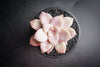 Graptopetalum pentandrum ssp superbum (S)(E3)