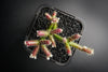 Rhipsalis pilocarpa (P)