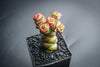 Crassula 'Baby Necklace' (2 x. CUTTINGS)