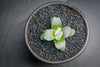 Crassula 'FALLWOOD'