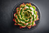 Echeveria 'Yamatoren'