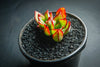 Echeveria 'Seiten-no-Tsukasa' (has mark)