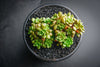 xCremnosedum 'Little Gem' (CLUSTER)
