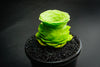 Aeonium aureum aka. Greenovia Aurea (XXS)
