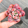 Echeveria 'Raindrops' (1 x CUTTING)(NO DROPS)