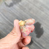 Echeveria 'Raindrops' (1 x CUTTING)(NO DROPS)