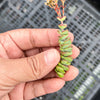 Crassula 'Baby Necklace' (2 x. CUTTINGS)