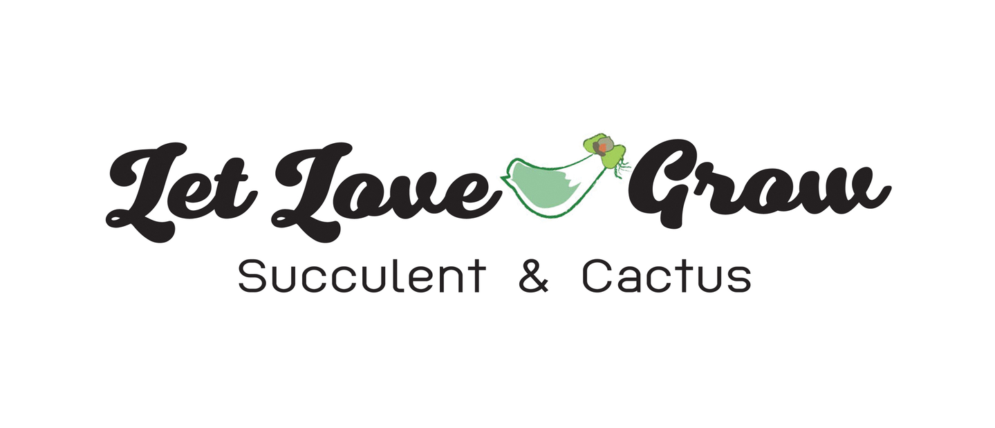 LET LOVE GROW (Succulent & Cactus)