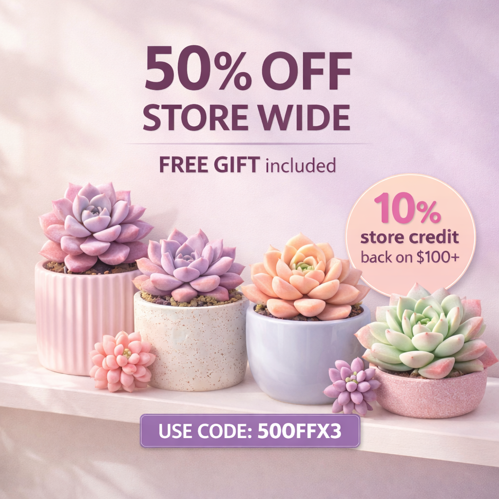 Retail - Single plant (NO CUTTING)