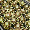 [PACK of 10 PLANTS] x Sempervivum arachnoideum 'Red Cobweb'