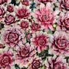 [PACK of 10 PLANTS] x Sempervivum 'VJ10' (NO PUP)