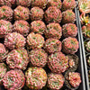 [PACK of 10 PLANTS] x Echeveria Marcel