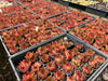[20 CUTTINGS PACK] x  Echeveria 'Benimusume'