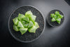 Haworthia Retusa (S)(A34)