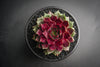 Sempervivum 'Thunder' (XS)