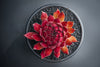 Sempervivum 'Pacific Red Rose'