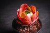 [20 CUTTINGS PACK] x Aeonium 'Blushing Beauty'